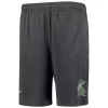 Youth Nike Anthracite Michigan State Spartans Performance Fly Shorts -Kohl's Shop 4046581