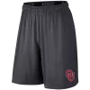 Youth Nike Anthracite Oklahoma Sooners Performance Fly Shorts 1 Youth Nike Anthracite Oklahoma Sooners Performance Fly Shorts -Kohl's Shop 4063000