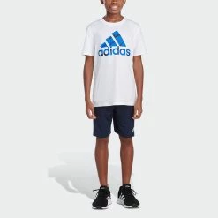 Boys 8-20 adidas Badge of Sport Graphic Tee -Kohl's Shop 4204143 ALT2