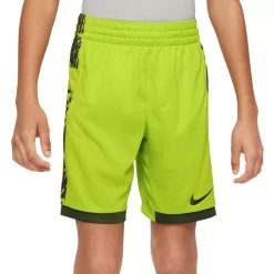Boys 8-20 Nike Dri-FIT Trophy Printed Training Shorts