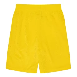 Boys 8-20 Champion® Vertical Script Mesh Shorts -Kohl's Shop 5208413 Sunshine