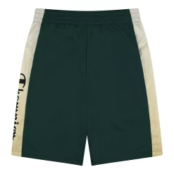 Boys 8-20 Champion® Script Basketball Shorts -Kohl's Shop 5208415 ALT