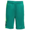 Boys 8-20 Lands' End Athletic Shorts in Regular & Husky -Kohl's Shop 5218111 Ocean Colorblok