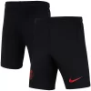 Youth Nike Black Paris Saint-Germain Performance Stadium Shorts -Kohl's Shop 5412407