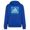 Boys 8-20 adidas Graphic Hoodie -Kohl's Shop 5558653