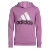 Toddler Girl adidas Essential Fleece Logo Graphic Pullover Hoodie
