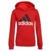 Boys 4-7 adidas Essential 22 Hoodie -Kohl's Shop 5563345
