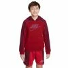 Boys 8-20 Nike Amplify Pullover Hoodie -Kohl's Shop 5582890 Gym Red Dk Beetroot