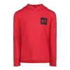 Boys 4-7 Under Armour Streetwear Logo Red Long Sleeve Hooded Tee -Kohl's Shop 5723254