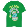 Boys 8-20 My Little Pony Rainbow Dash Easter Egg Hunt Champion Graphic Tee -Kohl's Shop 5725714