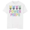 Boys 8-20 Power Rangers Group Shot Easter Bunny Ear Line Up Peeps Graphic Tee -Kohl's Shop 5725715