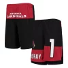 Youth Kyler Murray Black Arizona Cardinals Name & Number Player Shorts -Kohl's Shop 5845279