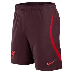 Youth Nike Red Liverpool Club Strike Performance Shorts 7 Youth Nike Red Liverpool Club Strike Performance Shorts -Kohl's Shop 5908456 ALT2
