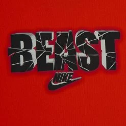 Toddler Boy Nike "Beast" DRI-Fit Tee -Kohl's Shop 5927424 ALT2