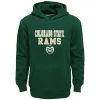 Boys 8-20 Colorado State Rams Team Slogan Fleece Hoodie -Kohl's Shop 5947345