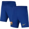 Youth Nike Blue Barcelona Academy Pro Performance Shorts -Kohl's Shop 6079139
